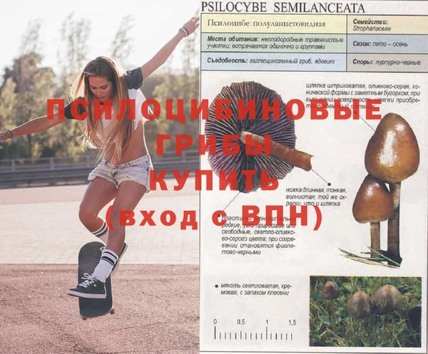 круглые Аркадак