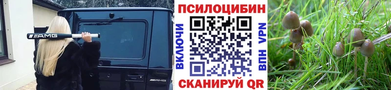 Псилоцибиновые грибы GOLDEN TEACHER  omg зеркало  Светлоград 
