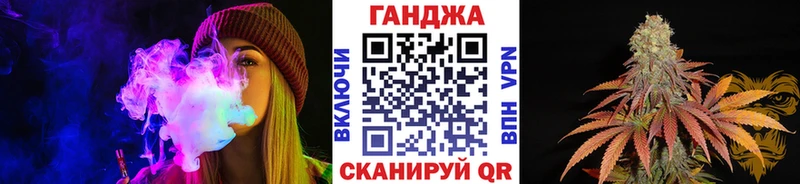 хочу наркоту  Светлоград  Конопля сатива 